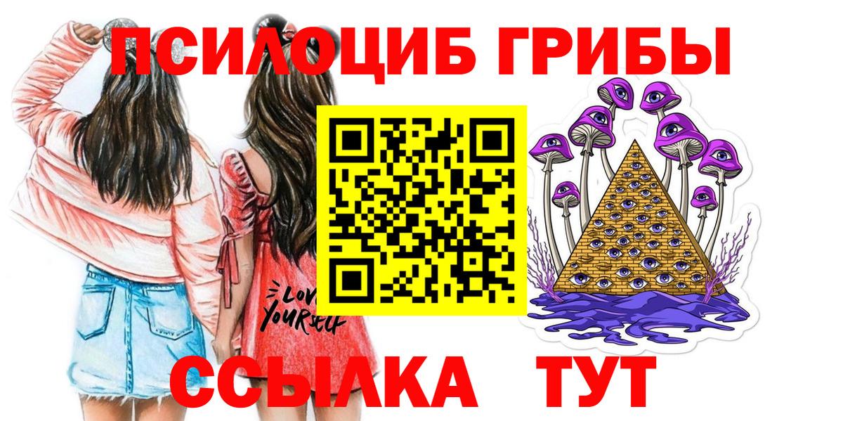 Галлюциногенные грибы Psilocybine cubensis  магазин продажи наркотиков  Шарыпово  Вход с VPN 